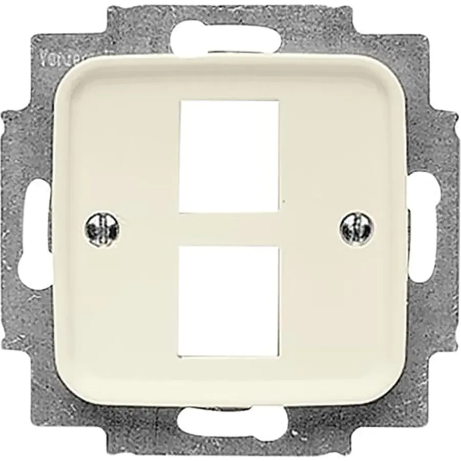 Busch-Jaeger centraalplaat + draagring 2x modular jack Standaard SI (2561-02-212)