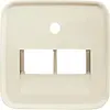 Busch-Jaeger centraalplaat RJ45 wandcontactdoos 2-voudig Standaard SI (1803-02-212)