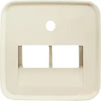 Busch-Jaeger centraalplaat RJ45 wandcontactdoos 2-voudig Standaard SI (1803-02-212)