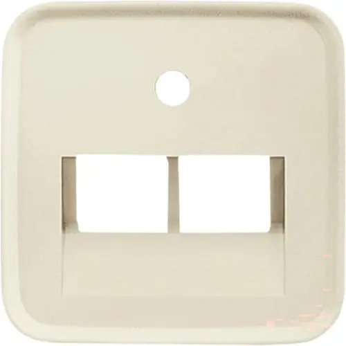 Busch-Jaeger centraalplaat RJ45 wandcontactdoos 2-voudig Standaard SI (1803-02-212) Busch-Jaeger centraalplaat RJ45 wandcontactdoos 2-voudig Standaard SI (1803-02-212)