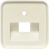 Busch-Jaeger centraalplaat RJ45 wandcontactdoos 1-voudig Standaard SI (1803-212)