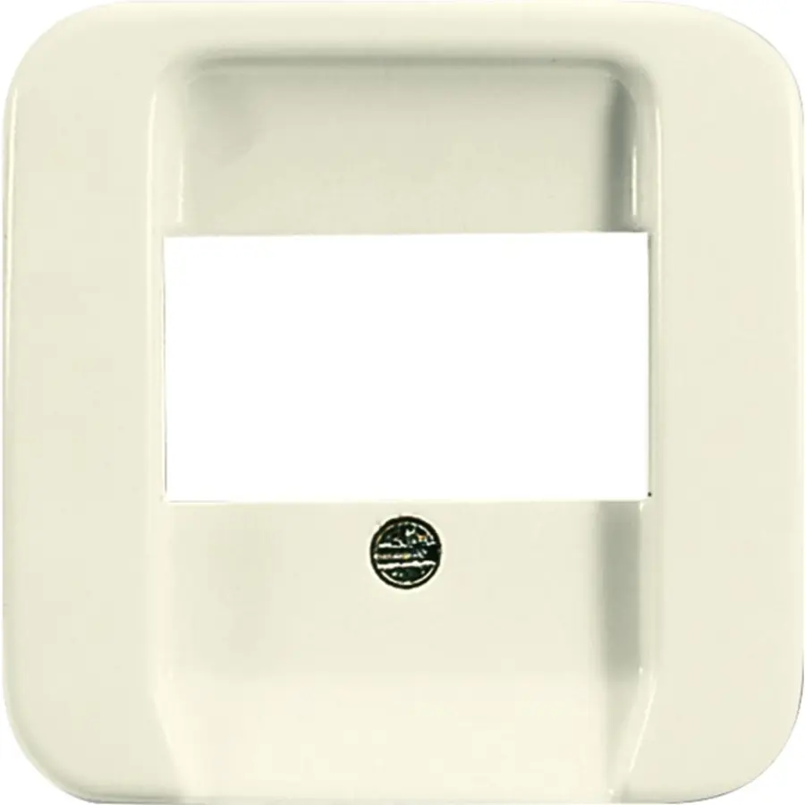 Busch-Jaeger centraalplaat USB / luidspreker Standaard SI (2539-212)