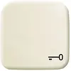 Busch-Jaeger schakelwip symbool sleutel Standaard SI (2520 TR-212)