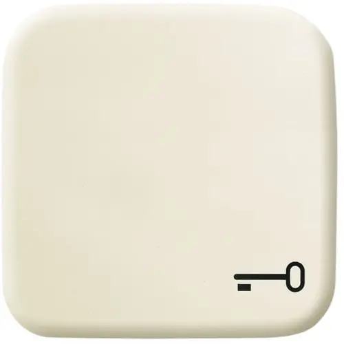 Busch-Jaeger schakelwip symbool sleutel Standaard SI (2520 TR-212) Busch-Jaeger schakelwip symbool sleutel Standaard SI (2520 TR-212)