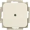 Busch-Jaeger blinddeksel incl. draagframe Standaard SI (2538-212) Busch-Jaeger blinddeksel incl. draagframe Standaard SI (2538-212)
