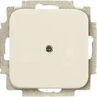 Busch-Jaeger blinddeksel incl. draagframe Standaard SI (2538-212)
