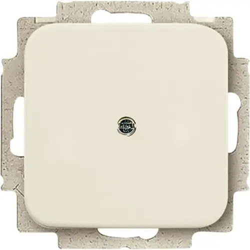 Busch-Jaeger blinddeksel incl. draagframe Standaard SI (2538-212) Busch-Jaeger blinddeksel incl. draagframe Standaard SI (2538-212)