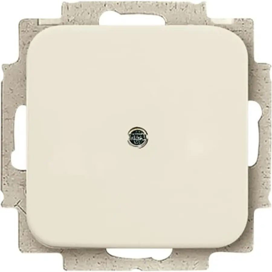 Busch-Jaeger blinddeksel incl. draagframe Standaard SI (2538-212)