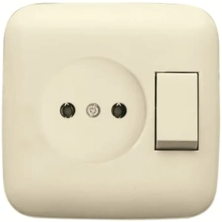 Busch-Jaeger combinatie wandcontactdoos/schakelaar zonder randaarde Standaard SI (4310/6 UJ-212-500)