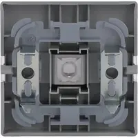 Busch-Jaeger schakelwip tekstkader Future Linear aluzilver (1764 NLI-83)