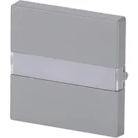 Busch-Jaeger schakelwip tekstkader Future Linear aluzilver (1764 NLI-83)