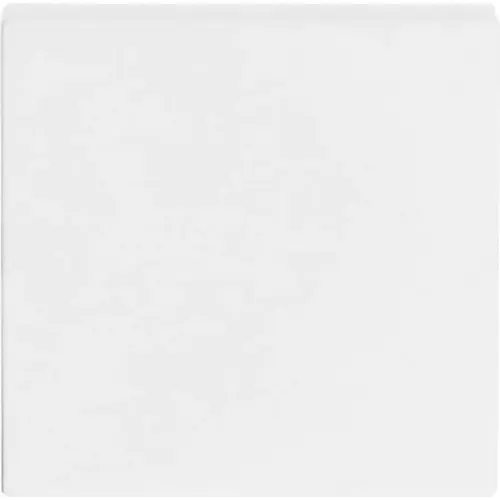 Busch-Jaeger schakelwip Future Linear studiowit mat (1786-884)