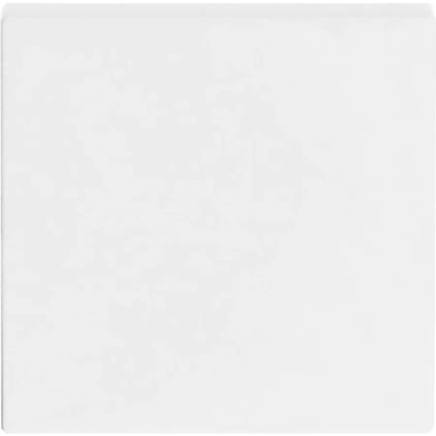 Busch-Jaeger schakelwip Future Linear studiowit mat (1786-884)
