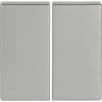 Busch-Jaeger Friends of Hue bedieningswip 2-voudig Pure Stainless Steel (6736 FoH-866)