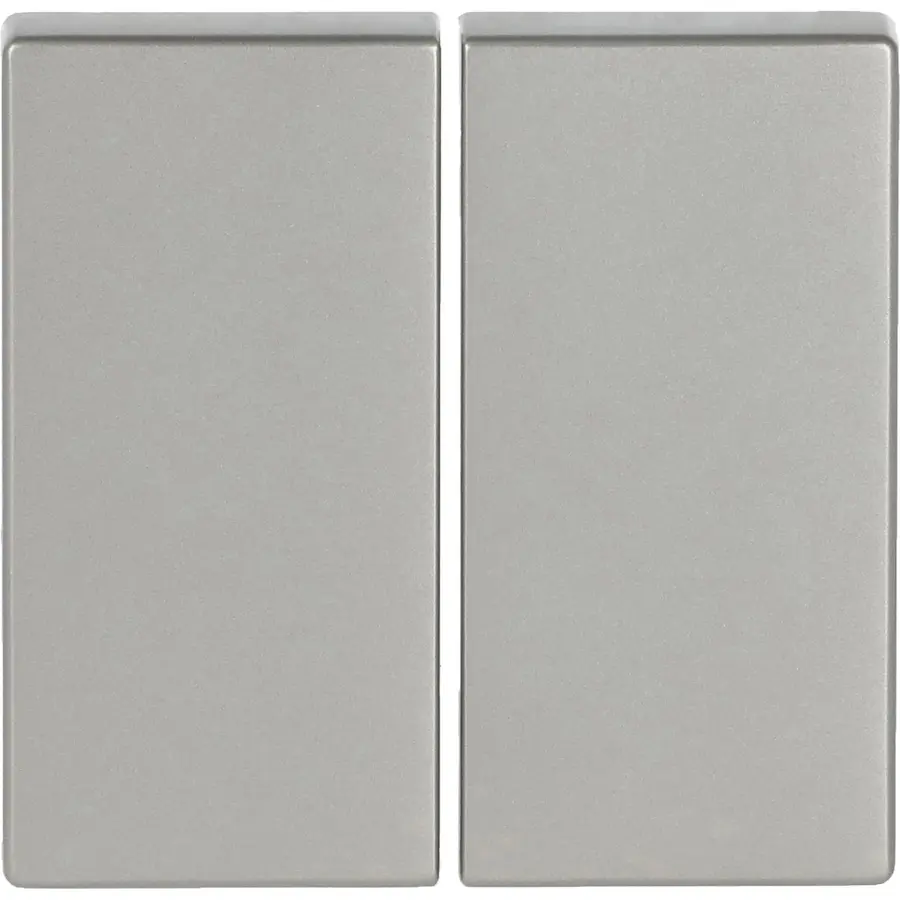 Busch-Jaeger Friends of Hue bedieningswip 2-voudig Pure Stainless Steel (6736 FoH-866)