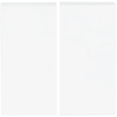 Busch-Jaeger Friends of Hue bedieningswip 2-voudig Future Linear studiowit glans (6736 FoH-84) Busch-Jaeger Friends of Hue bedieningswip 2-voudig Future Linear studiowit glans (6736 FoH-84)