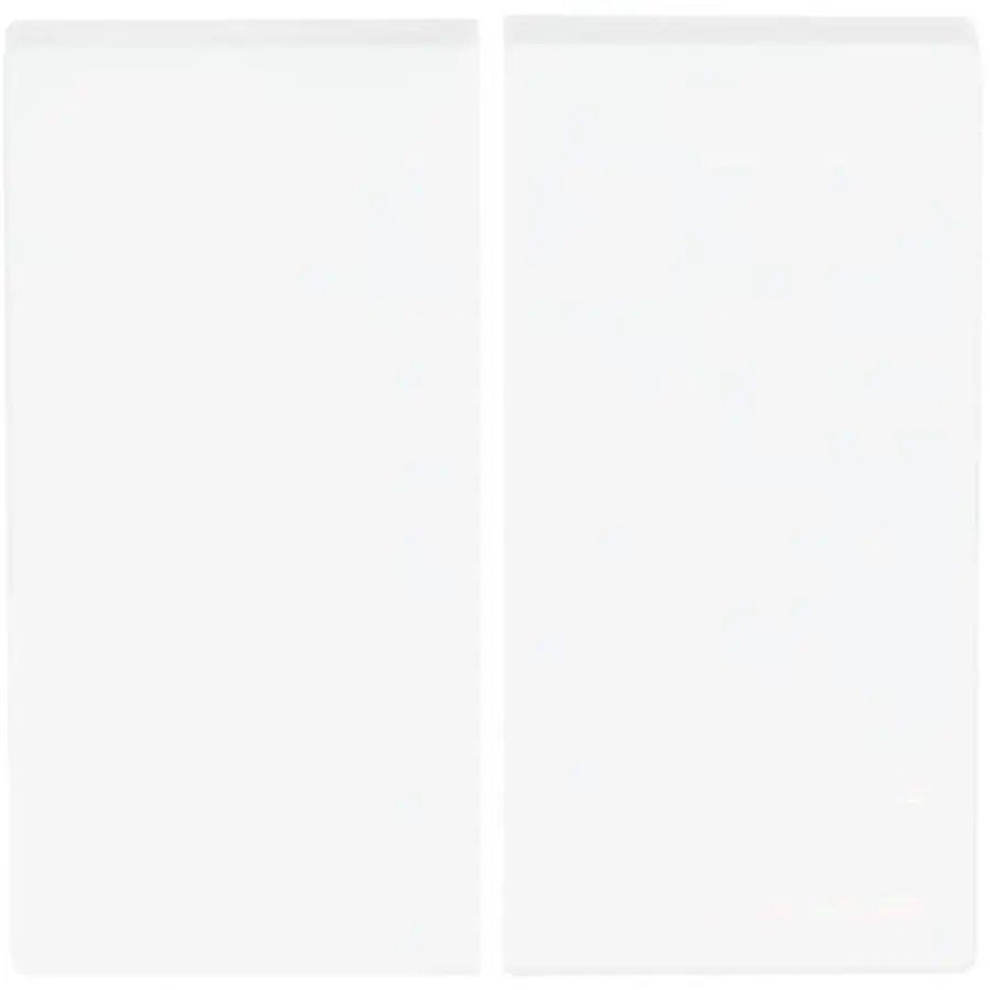 Busch-Jaeger Friends of Hue bedieningswip 2-voudig Future Linear studiowit glans (6736 FoH-84)