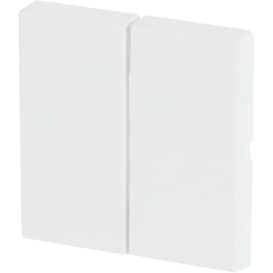 Busch-Jaeger Friends of Hue bedieningswip 2-voudig Future Linear studiowit glans (6736 FoH-84)