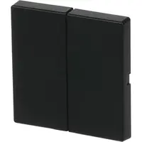Busch-Jaeger Friends of Hue bedieningswip 2-voudig Future Linear zwart mat (6736 FoH-885)