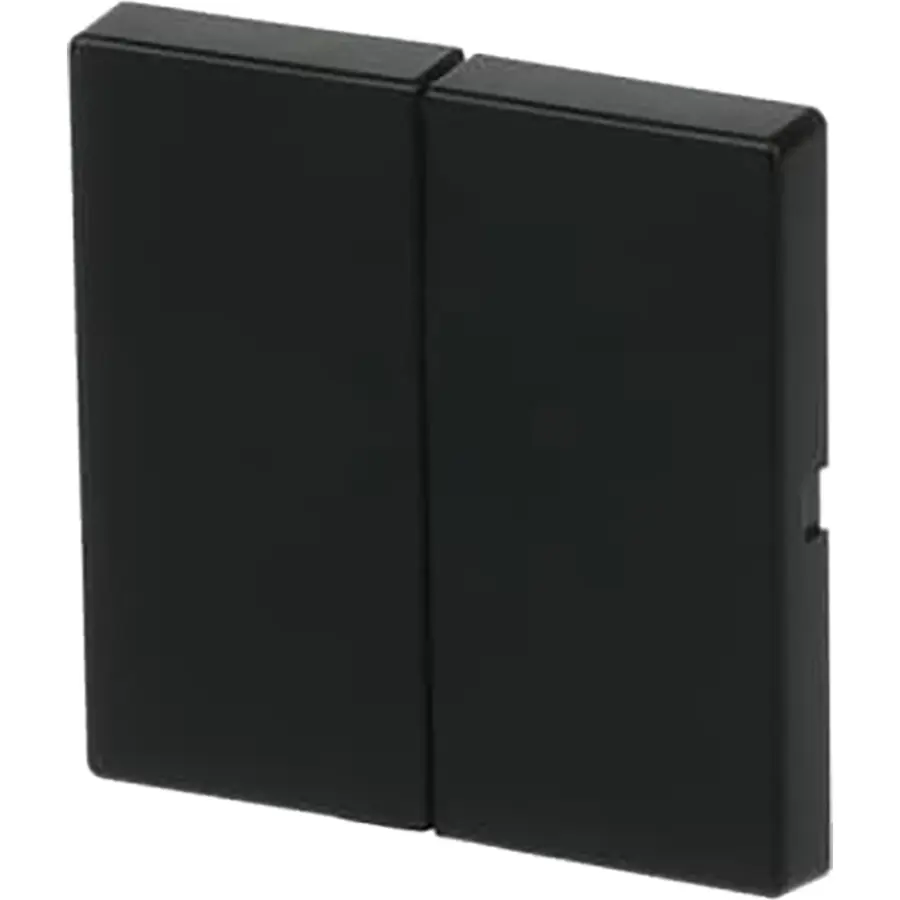 Busch-Jaeger Friends of Hue bedieningswip 2-voudig Future Linear zwart mat (6736 FoH-885)