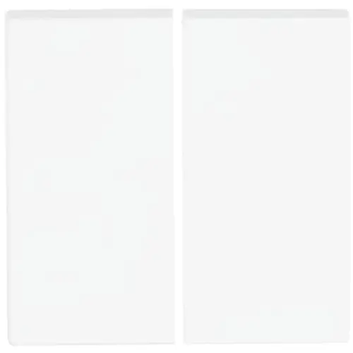 Busch-Jaeger Friends of Hue bedieningswip 2-voudig Future Linear studiowit mat (6736 FoH-884) Busch-Jaeger Friends of Hue bedieningswip 2-voudig Future Linear studiowit mat (6736 FoH-884)