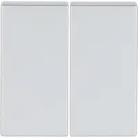 Busch-Jaeger Friends of Hue bedieningswip 2-voudig Future Linear aluzilver (6736 FoH-83)