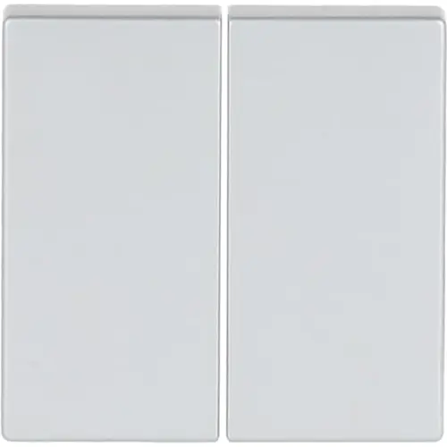 Busch-Jaeger Friends of Hue bedieningswip 2-voudig Future Linear aluzilver (6736 FoH-83) Busch-Jaeger Friends of Hue bedieningswip 2-voudig Future Linear aluzilver (6736 FoH-83)