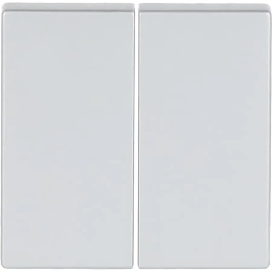 Busch-Jaeger Friends of Hue bedieningswip 2-voudig Future Linear aluzilver (6736 FoH-83)