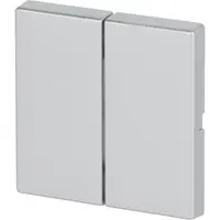 Busch-Jaeger Friends of Hue bedieningswip 2-voudig Future Linear aluzilver (6736 FoH-83)