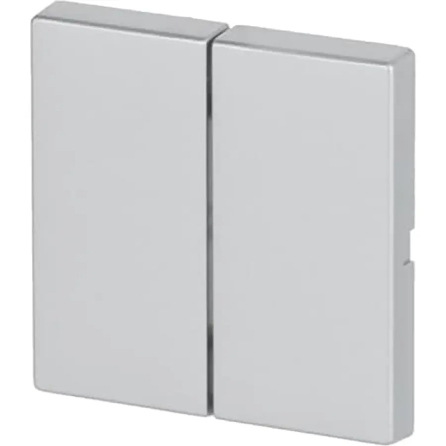 Busch-Jaeger Friends of Hue bedieningswip 2-voudig Future Linear aluzilver (6736 FoH-83)