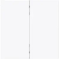 Busch-Jaeger Friends of Hue bedieningswip 2-voudig Art Linear studiowit glans (6736 FoH-44G)