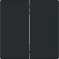 Busch-Jaeger Friends of Hue bedieningswip 2-voudig Art Linear zwart mat (6736 FoH-45M)