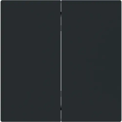 Busch-Jaeger Friends of Hue bedieningswip 2-voudig Art Linear zwart mat (6736 FoH-45M) Busch-Jaeger Friends of Hue bedieningswip 2-voudig Art Linear zwart mat (6736 FoH-45M)