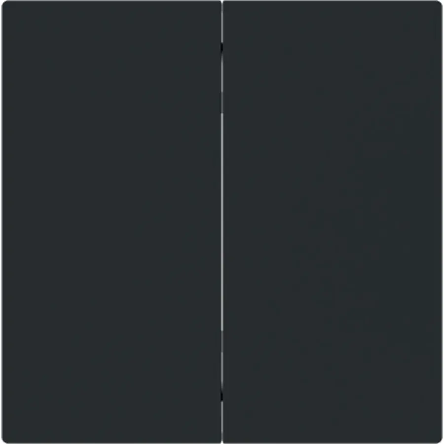 Busch-Jaeger Friends of Hue bedieningswip 2-voudig Art Linear zwart mat (6736 FoH-45M)