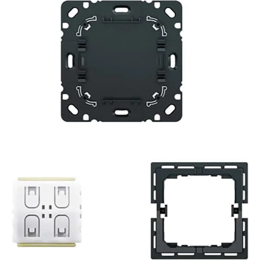 Busch-Jaeger Bluetooth wandzender sokkel 2-kanaals voor Balance SI (6716/01 UBT)
