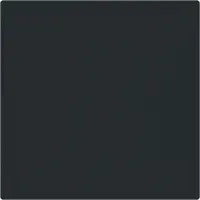 Busch-Jaeger Friends of Hue bedieningswip 1-voudig Art Linear zwart mat (6735 BT-45M)