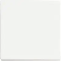 Busch-Jaeger Friends of Hue bedieningswip 1-voudig Future Linear studiowit mat (6735 BT-884)