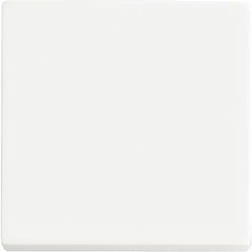 Busch-Jaeger Friends of Hue bedieningswip 1-voudig Future Linear studiowit mat (6735 BT-884) Busch-Jaeger Friends of Hue bedieningswip 1-voudig Future Linear studiowit mat (6735 BT-884)