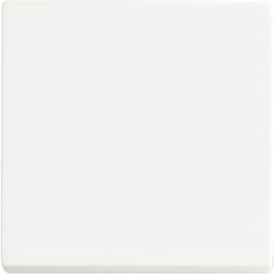 Busch-Jaeger Friends of Hue bedieningswip 1-voudig Future Linear studiowit mat (6735 BT-884)