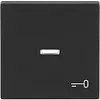 Busch-Jaeger schakelwip controlevenster symbool sleutel Future Linear antraciet glans (1789 TR-81)