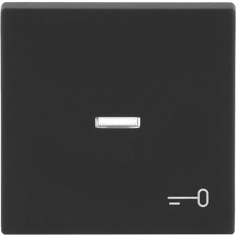 Busch-Jaeger schakelwip controlevenster symbool sleutel Future Linear antraciet glans (1789 TR-81)