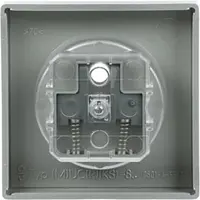 Busch-Jaeger centraalplaat voor wandcontactdoos met penaarde Future Linear aluzilver mat (2399 UCKS-83)