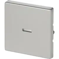 Busch-Jaeger schakelwip controlevenster Pure Stainless Steel (1789 N-866)