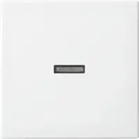Busch-Jaeger schakelwip controlevenster Balance SI wit glans (1789 N-914)