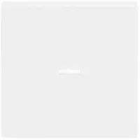 Busch-Jaeger schakelwip controlevenster Future Linear studiowit glans (1789 N-84)