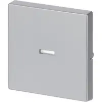 Busch-Jaeger schakelwip controlevenster Future Linear aluzilver (1789 N-83)