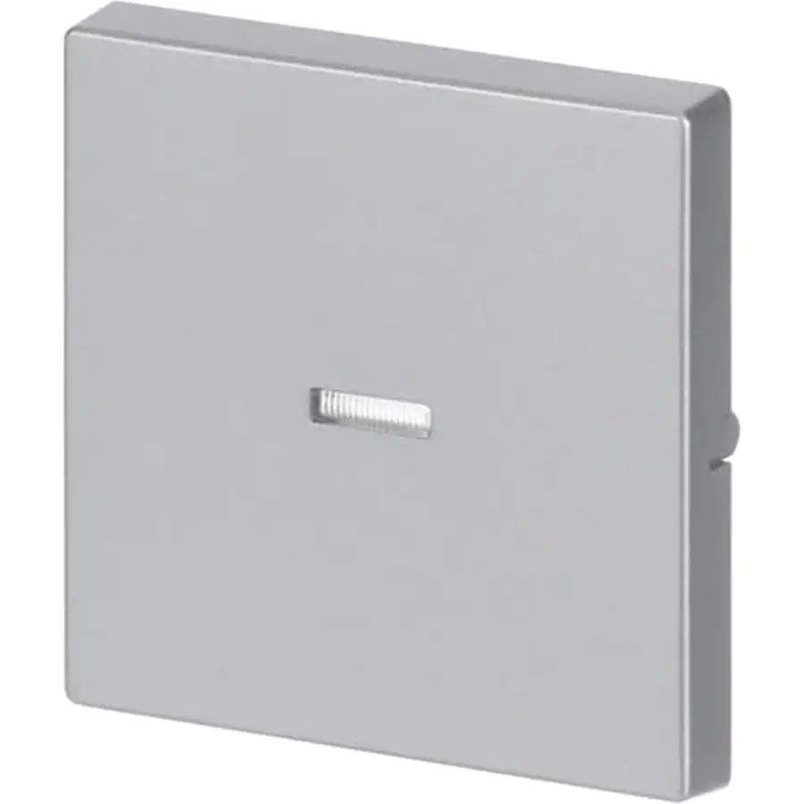 Busch-Jaeger schakelwip controlevenster Future Linear aluzilver (1789 N-83)