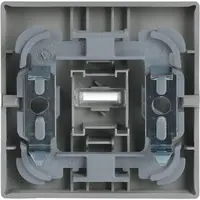 Busch-Jaeger schakelwip controlevenster Future Linear aluzilver (1789 N-83)