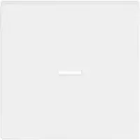 Busch-Jaeger schakelwip controlevenster Future Linear studiowit mat (1789 N-884)