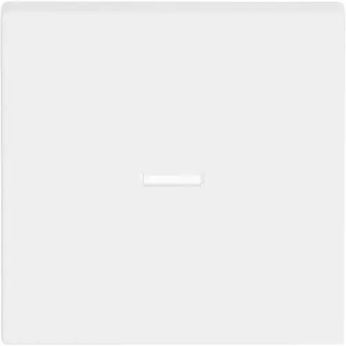 Busch-Jaeger schakelwip controlevenster Future Linear studiowit mat (1789 N-884)